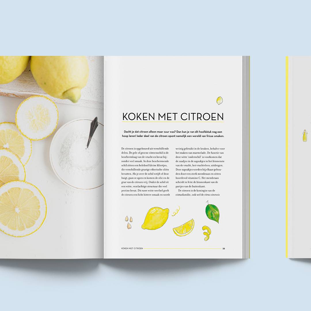 Pagina layout The Lemon Kitchen kookboek 02