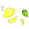 citroen partjes schil pit en blad illustraties