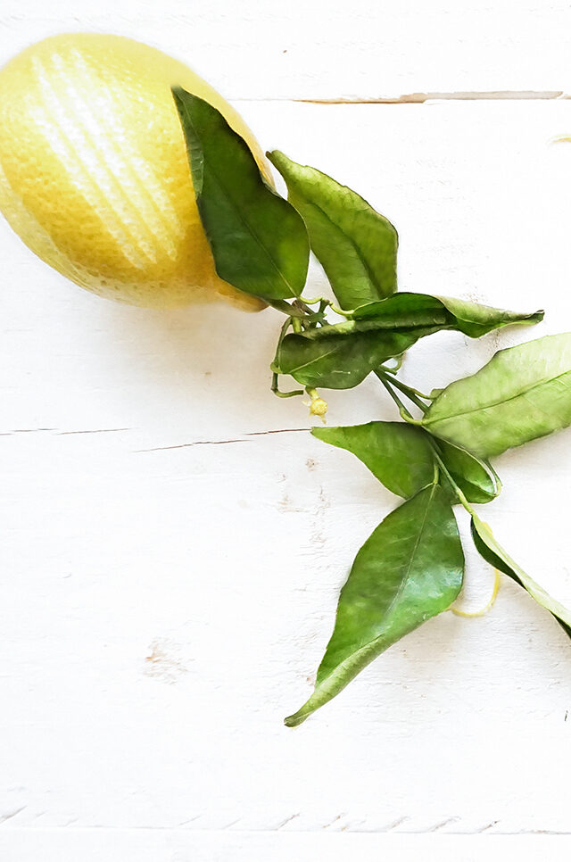 schrijven Logisch Slepen Dit is waarom je vaker citrusvruchten moet kopen 'The Lemon Kitchen